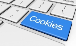 Despre fișierele cookies